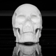 Illustration for article titled This full-size human skull is made out of cocaine